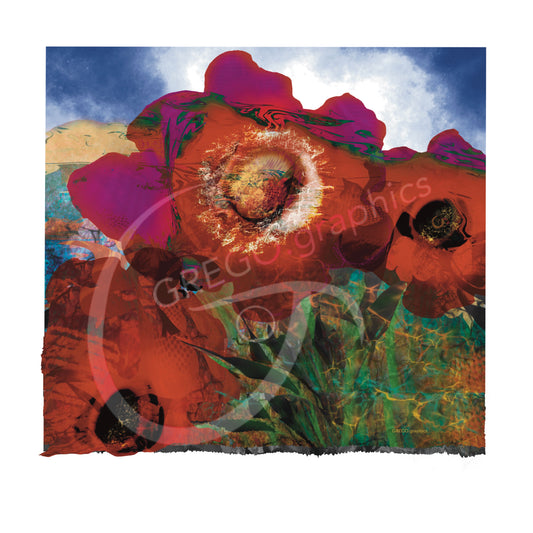 Peaces of Poppies