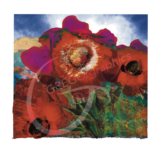 Peaces of Poppies